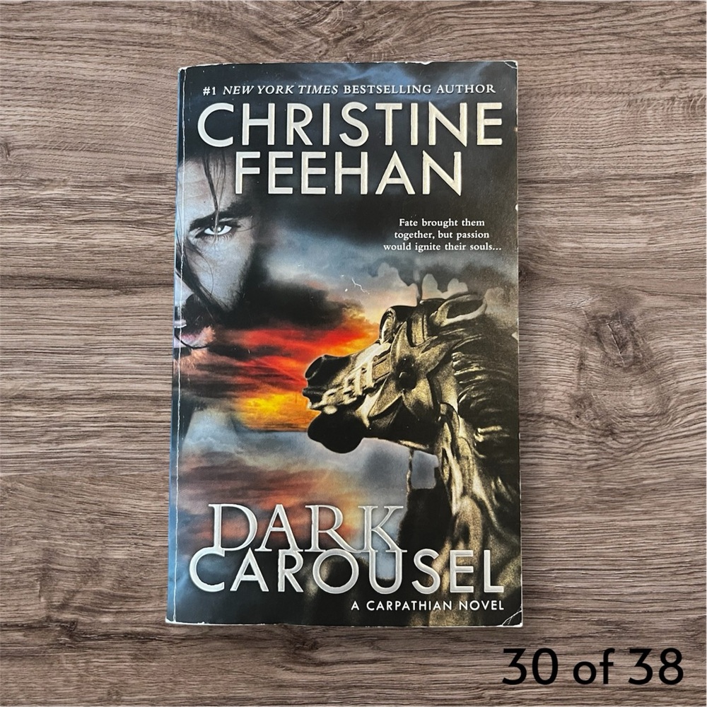 Dark Carousel by Christine Feehan Paperback
